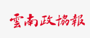 色情片
